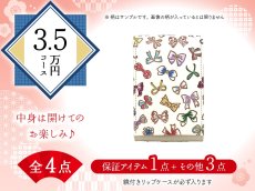画像1: 【福袋3.5万円コース】●全4点入り ●保証アイテム：鏡付きリップケース (1)