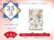 画像1: 【福袋3.5万円コース】●全4点入り ●保証アイテム：鏡付きリップケース（金唐柄） (1)