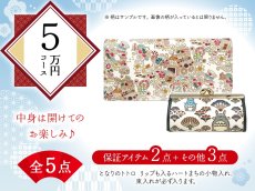画像1: 【福袋5万円コース】●全5点入り ●保証アイテム：リップも入るハートまちの小物入れ（トトロ）/束入れ (1)