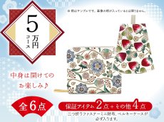 画像1: 【福袋5万円コース】●全6点入り ●保証アイテム：二つ折りファスナーミニ財布/ベルキーケース (1)