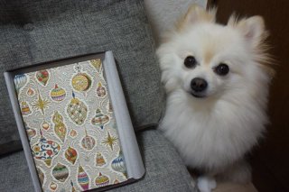 レビュー6327-投稿画像2