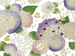 夏柄】紫陽花
