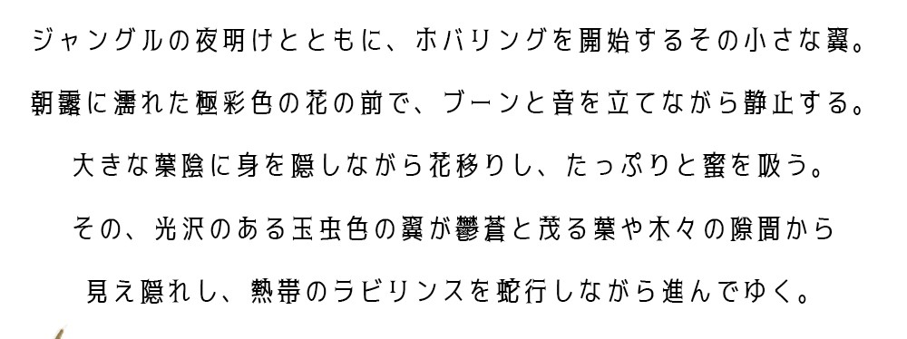 ハチドリの憂鬱 文庫屋 大関 ハチドリの憂鬱 文庫屋 大関