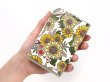 画像5: 【夏限定柄/限定Item】ひまわり 鏡付きリップケース［t］ (5)